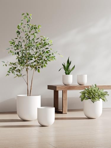 LE TAUCI 6 Inch Ceramic Plant Pot, Small Indoor Planter, White - color: White, size: 6 Inch