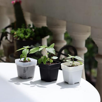 200 Pack 1.95 Inch Tiny Black Plastic Square Nursery and Seedling Pot, Mini Transplant Seed Starter Planter with Drain Hole for Germination, Herb, Succulent - color: Black, size: 1.95 inch