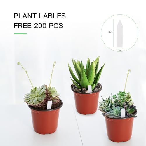JERIA 200 Pack 6 Inch Plastic Nursery Pots Comewith Drainage Holes, Seedling Flower Plant Container and Seed Starting Pots with 200 Pcs Labels - size: 6 Inch