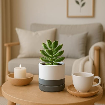 D'vine Dev 4-Pack Ceramic Pots with Saucers, White/Grey, 4.7 in, 94-X-B-6 - color: White/Speckled Grey, size: 4.7 Inch