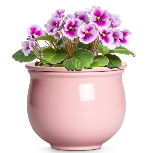 African Violet Pots, 6 Inch Ceramic Easy Self Watering Pots with Absorbent Inner Pot, Round Ceramic Planter for Indoor Plants, Small Flower Pot, Home Decor, Gifts for Plant Lovers, Pink - color: Pink, size: 6 Inch