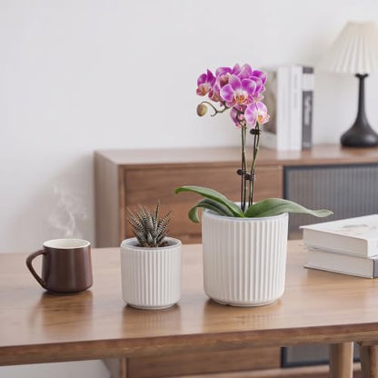 Large Ceramic self Watering Pot for houseplant,6.4inch&4 inch,White - color: White, size: 6.4inch + 4inch