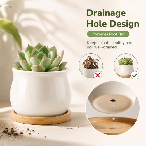 ZOUTOG 12 Pack 2.6" Mini Ceramic Succulent Pots with Drainage Hole - size: 2.6inch