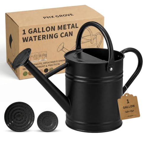1 Gallon Metal Watering Can for Indoor Outdoor Plants, Classic Black