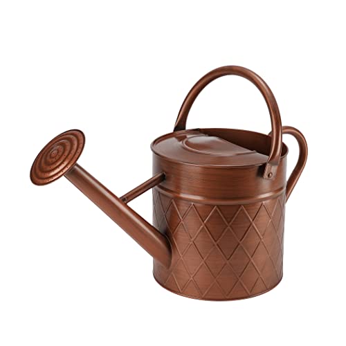 1.75 Gallon Outdoor Metal Watering Can for Garden Plants,Copper Color Watering Can with Removable Spray Spout, Ideal for Outdoor Use (Copper) - color: Copper