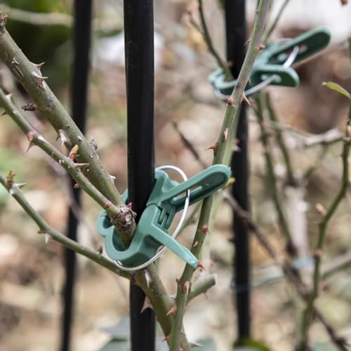 Plant Support Clips, 80 PCS, 2 Sizes