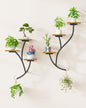 2 Pack Wall Mounted Plant Holder, 6-Tier Hanging Planters for Indoor Plants