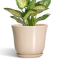 Ceramic Pots for Plants, 5.6 Inch Plant Pot with Drainage, Beige - color: Beige, size: 6 Inch