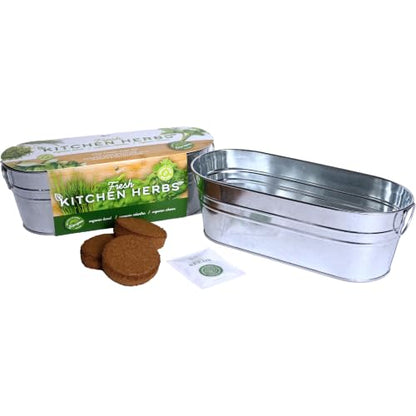 Buzzy Seeds Kitchen Herb Grow Kit, Metal Planter, Basil Cilantro Chives