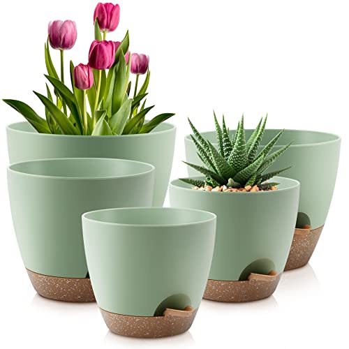 QRRICA Plant Pots 10/9/8/7.5/7 Inch Self Watering Pots, Set of 5 Plastic Planters with Drainage Holes and Saucers,Plastic Flower Pots,Nursery Planting Pot for Indoor Out Door Plants（Green） - color: Green, size: 10/9/8/7.5/7 inch