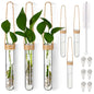 Baderke 6 Pack Plastic Hanging Propagation Station Tubes, Natural Color - color: Natural Color