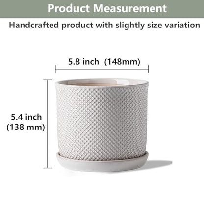 5.8 Inch Ceramic Planter with Drainage Hole & Bonded Saucer - color: Beaded Embossed, size: 6 inch