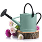 Plexon Metal Watering Can Outdoor 1 Gallon, Flower Plant Gardening Garden Large Watering Can Pot, Black Galvanized Steel Handles and Removable Spray Spout, Aqua Mist Blue - color: Aqua Mist Blue
