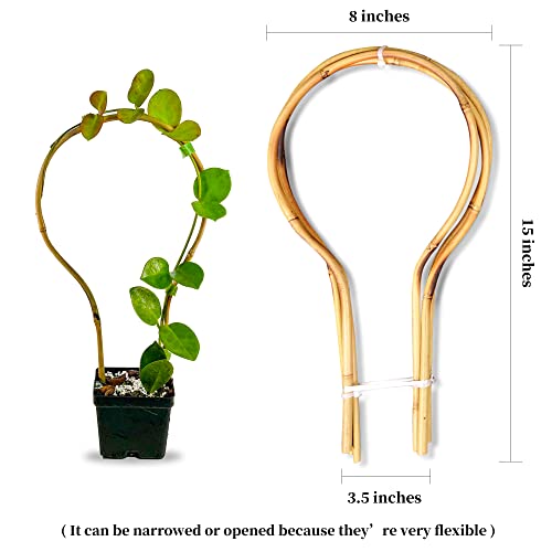 Bamboo Trellis 15 in Loop - Round Shaped for Potted Climbing Plants, Small Trellis for Training Hoya, Ivy, Monstera, Cucumber and Fruits - 3 Pack - size: Bamboo Hoop Trellis