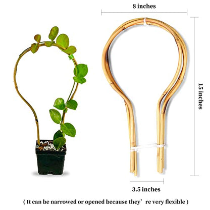 Bamboo Trellis 15 in Loop - Round Shaped for Potted Climbing Plants, Small Trellis for Training Hoya, Ivy, Monstera, Cucumber and Fruits - 3 Pack - size: Bamboo Hoop Trellis