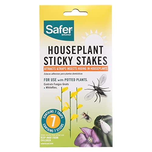 Safer Brand 5026 Houseplant Sticky Stake Insect Traps for Indoor Plants - Controls Fungus Gnats, Whiteflies, Midges, Thrips, Fruit Flies, and Black Flies - 1 Pack, 7 Traps - style: Insect Traps