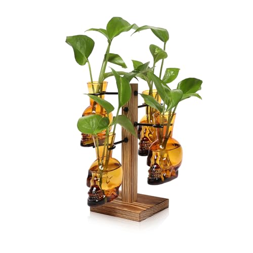 Plants Propagation Stations Skull Glass Propagation Birthday Gift for Women - color: Amber