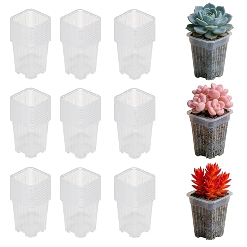 50 Pack 2'' Square Nursery Pots, Tiny Clear Seedling Planters with Drainage Holes, Plastic Mini Deep Transplant Pot for Herb, Succulent, Germination, Seed Starting, Cuttings (2 inches) - size: 2 inches