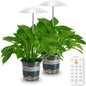 Smart LED Grow Light for Indoor Plants, Programmable Timer and Dim - color: White