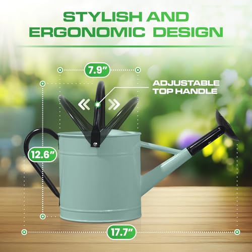 Plexon Metal Watering Can Outdoor 1 Gallon, Flower Plant Gardening Garden Large Watering Can Pot, Black Galvanized Steel Handles and Removable Spray Spout, Aqua Mist Blue - color: Aqua Mist Blue