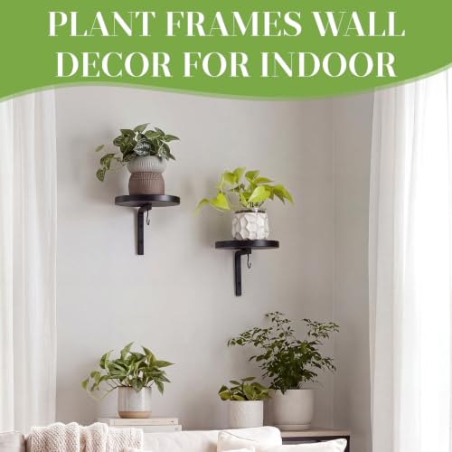 6 Pack Wall Plant Holders 7.9 Inch Black Metal Hanging Plants Hanger Shelves Heavy Duty Rustproof Iron Floating Window Plant Display Stand with 6 Hooks for Indoor Outdoor Wall Art Decor