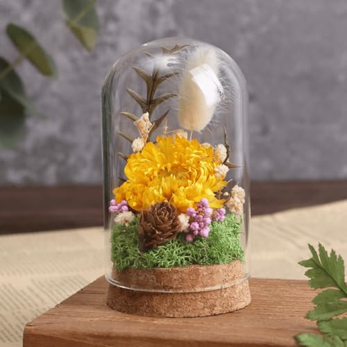 6 Pack Mini Glass Cloche with Cork Base, 2.37x3.94 Clear Bell Jars