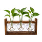 Plant Terrarium Propagation Stations with Heart Hydroponic Vase