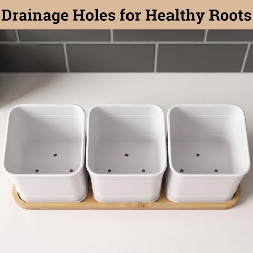 Herb Planter Indoor, 3-pc Herb Pots w/ Drainage Holes, Bamboo Tray & Labels - color: White