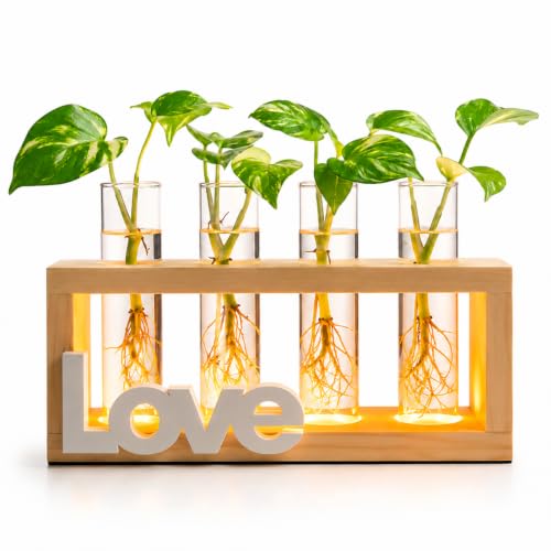 Plant Propagation Station with LED Grow Light Wooden Stand （Love） - color: LOVE