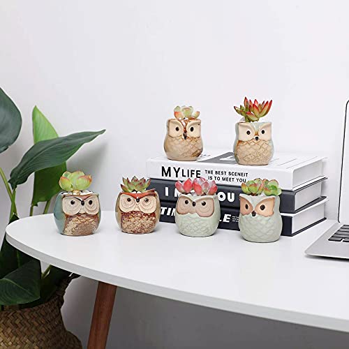 T4U Owl Succulent Pots, Mini Ceramic Gift Pots with Drainage, Retro 6 Pack - color: Owl, size: Pack of 6