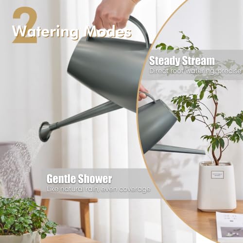 60 oz Watering Can, Small Watering Can for Indoor Plants with Long Spout - color: Gray