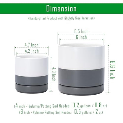 D'vine Dev 2-Pack Ceramic Pots with Saucers, White/Grey, 4/6 in, 94-G-S-6 - color: White/Speckled Grey, size: Small
