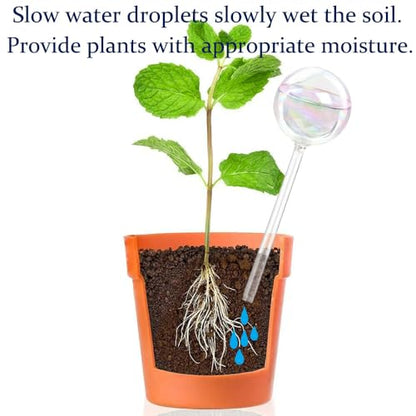 Glass Plant Watering Device, Planter Self Watering Globes for Home Potting - color: R.Clear Glass 6pcs