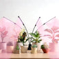 Full Spectrum 4 Heads LED Plant Grow Light for Indoor Plants - size: 4 heads