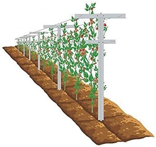 MRGARDEN 7-Feet Grape Vine Trellis 2pcs for Raspberry, Grape Vines, Outdoor Climbing Plants, Heavy Duty Fiberglass Stake Vineyard Trellis Rust-Proof, Easy to Install Garden Trellis - size: 7 Feet-2trellis