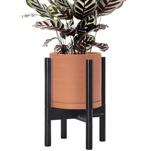 D'vine Dev Terracotta Pot with Ebony Wood Stand, 8 in, 55-B-M-5 - color: Terracotta Pot + Ebony Stand, size: 8 Inch