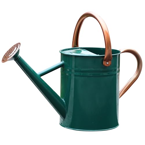 Metal Watering Can for Outdoor Plants, Watering Can 1 Gallon (NewGreen) - color: 003 New Green