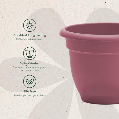 Bloem Ariana 10" Plastic Self-Watering Planter, Dusty Rose, 4-Pack - color: Dusty Rose, size: 10" (Pack of 4)