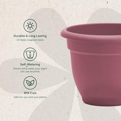 Bloem Ariana 10" Plastic Self-Watering Planter, Dusty Rose, 4-Pack - color: Dusty Rose, size: 10" (Pack of 4)
