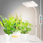 Tabletop Grow Light Desk Grow Lights for Seed Starting with Timer - size: 1Head-Timer