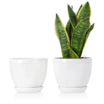 6.5" Ceramic Plant Pots Set of 2, Crisp White Embossed Planters with Saucer - color: White, size: 6.5 inch