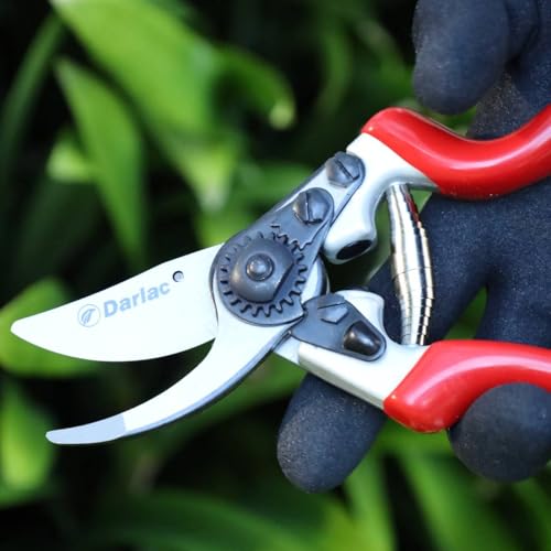 Darlac Expert Bypass Pruner 25mm (1 inch) Maximum Cut - style: Safety