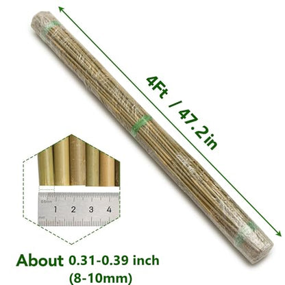 Bamboo Stakes, 4 Feet, 70 Pcs - size: 4ft-70 Pack