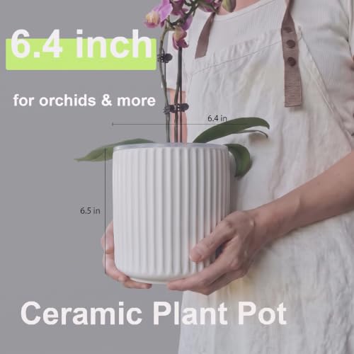 Large Ceramic self Watering Pot for houseplant,6.4inch&4 inch,White - color: White, size: 6.4inch + 4inch