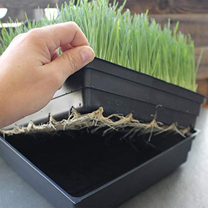 Handy Pantry 10-Pack 1010 Garden Growing Trays Without Drain Holes - style: Without drain holes