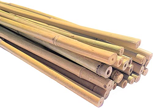 Natural Bamboo Poles, Eco-Friendly Plant Support Garden Stakes 4ft Long, Diameter of 1/2" (25-Count) - size: 4 ft, 1/2" Diameter (25-Count)