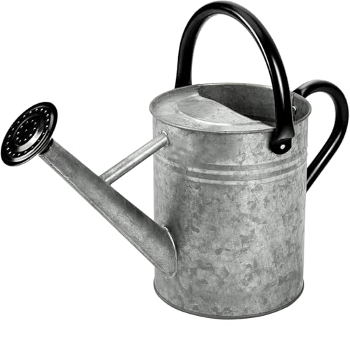 Metal Watering Can, 1 Gallon for Outdoor Garden Plants,SilverB - color: Silver