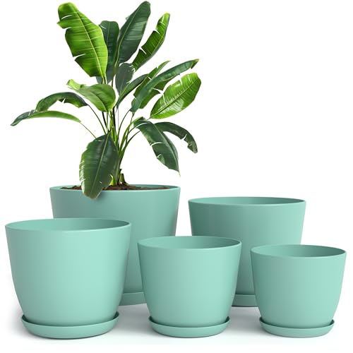 Plant Pots Indoor with Drainage, 5 Pack Multi-Size Planters Set, Aqua - color: Aqua, size: Pack of 5