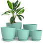 Plant Pots Indoor with Drainage, 5 Pack Multi-Size Planters Set, Aqua - color: Aqua, size: Pack of 5