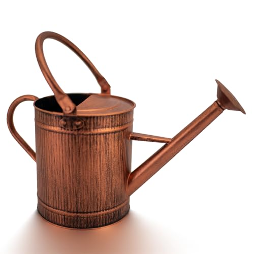 1 Gallon Copper Metal Watering Can, Removable Spout - color: Copper, size: 1 Gallon